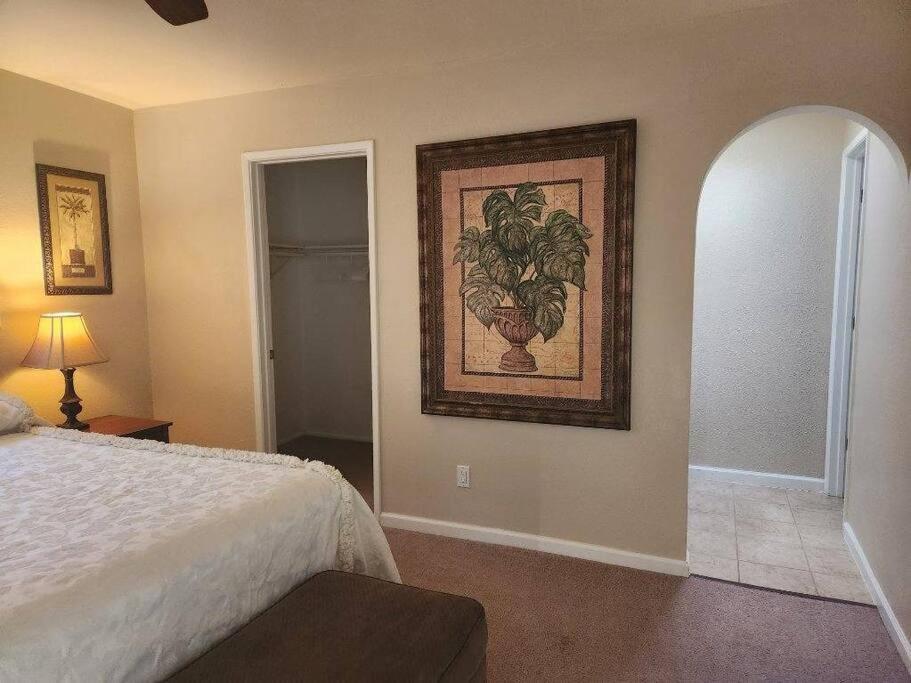 Southwestern Charm - Minutes From Everything 3/2 Sierra Vista Exterior foto